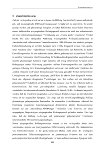 Mechanismen und Regulation von Synaptogeneseprozessen in