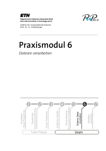 Praxismodul 6 - Webarchiv ETHZ / Webarchive ETH