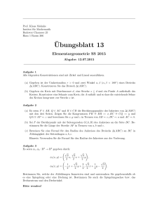 Ubungsblatt 13 - Institut fuer Mathematik
