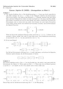 Lineare Algebra II (MIIB) - Lösungsskizze zu Blatt 3