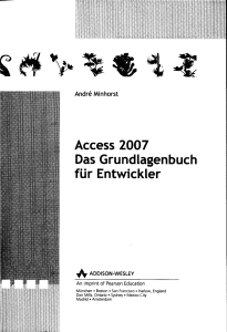 Access 2007 Das Grundlagenbuch für Entwickler