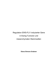 Regulation EWS-FLI1 induzierter Gene in Ewing