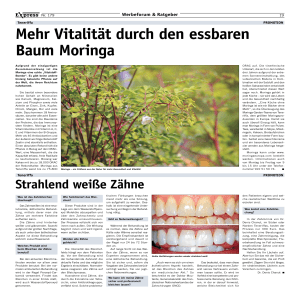 Mehr Vitalität durch den essbaren Baum Moringa