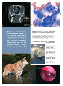 Onkologie Strahlentherapie 2 - Medizinische Kleintierklinik