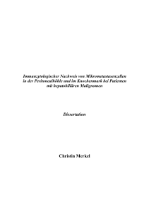 Dissertation Christin Merkel