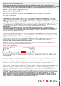 HSBC Trinkaus Strategie Dynamik