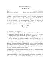 Aufgaben zur Vorlesung Topologie II