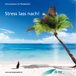 Stress lass nach! - MSD Tiergesundheit