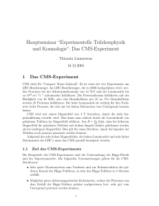 Das CMS-Experiment