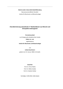 Nukleotidasen aus Mensch und Drosophila melanogaster