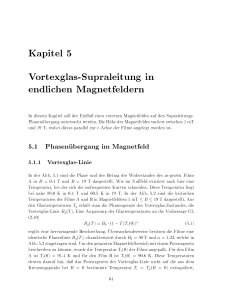 Kapitel 5 Vortexglas-Supraleitung in endlichen Magnetfeldern
