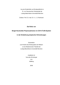 Die Rolle von Single Nucleotide Polymorphismen im CD14