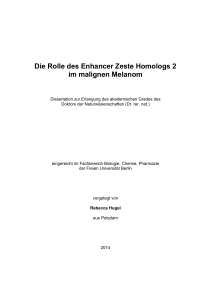 Doktorarbeit_final_ohne CV - diss.fu