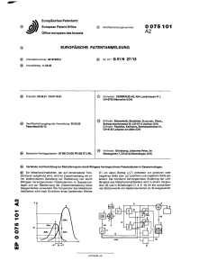 European Patent