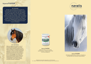 heparal®HORSE - PferdedocShop