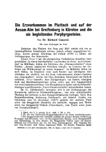 Die Erzvorkommen im Plattach und auf der Assam