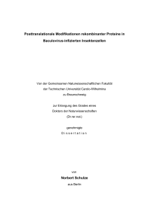 Posttranslationale Modifikationen rekombinanter Proteine in