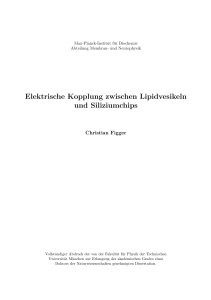 Elektrische Kopplung zwischen Lipidvesikeln und