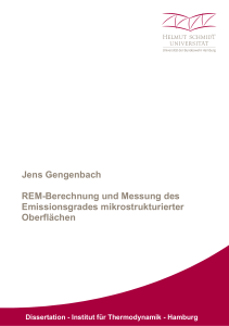 Jens Gengenbach REM-Berechnung und Messung des