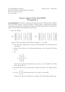 Lineare Algebra II für Mm/BWM Übungsblatt 2