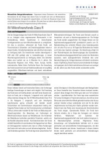 KIID report - Finanzplanung Ahlers