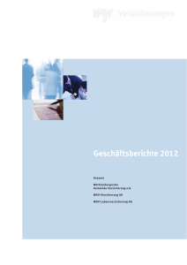 Geschäftsberichte 2012