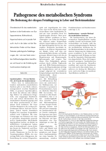 Pathogenese des metabolischen Syndroms