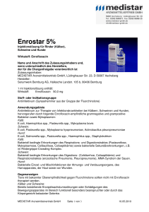 Enrostar 5% - MEDISTAR Arzneimittelvertrieb GmbH