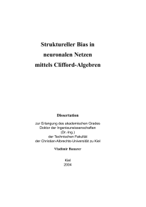 Struktureller Bias in neuronalen Netzen mittels Clifford