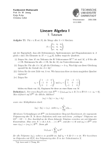 Lineare Algebra I - TU Darmstadt/Mathematik