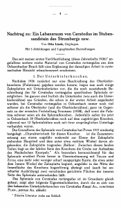 Nachtrag zu: Ein Lebensraum von Ceratodus im Stuben