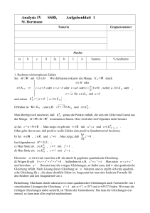 Analysis IV SS08, Aufgabenblatt 1 - Mathematik, Uni