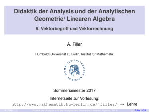 Didaktik der Analysis und der Analytischen Geometrie/ Linearen