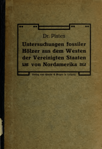 Untersuchungen Fossiler hölzer aus dem Westen der Vereinigten