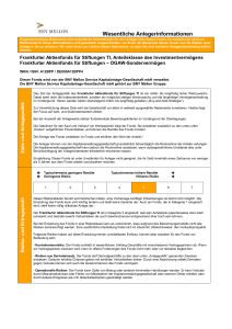 Frankfurter Aktienfonds für Stiftungen TI