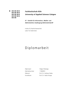 Diplomarbeit