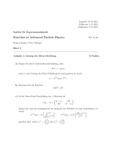 Exercises to Advanced Particle Physics