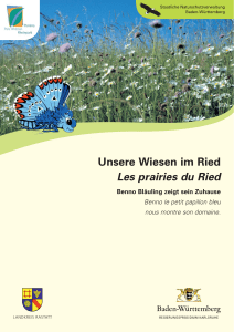 Unsere Wiesen im Ried - Rheinauen bei Rastatt