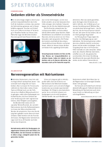 Spektrogramm - Spektrum der Wissenschaft