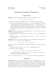 Algebraische Topologie: ¨Ubungsblatt 1