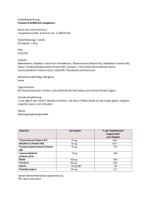 Artikelbezeichnung: Vitamin B KOMPLEX