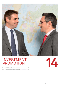 investment promotion