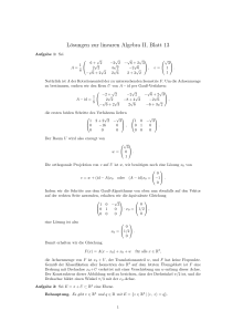 Lösungen zur linearen Algebra II, Blatt 13