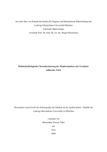 Molekularbiologische Charakterisierung des Membranankers des