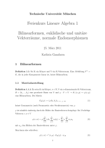 Ferienkurs Lineare Algebra 1 Bilinearformen, euklidische und