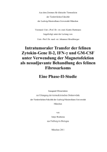 Intratumoraler Transfer der felinen Zytokin-Gene Il-2, IFN