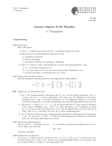 Lineare Algebra II für Physiker 5. ¨Ubungsblatt