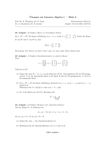 Ubungen zur Linearen Algebra 1 — Blatt 8