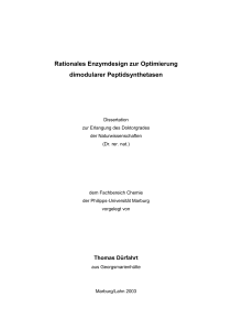 Rationales Enzymdesign zur Optimierung dimodularer