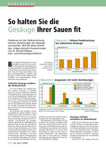 So halten Sie die Gesäuge Ihrer Sauen fit